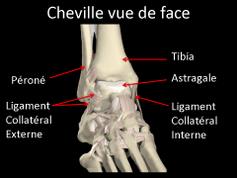Cliquez pour agrandir