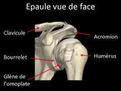 Cliquez pour agrandir