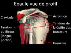 Cliquez pour agrandir