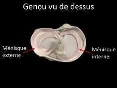 Cliquez pour agrandir