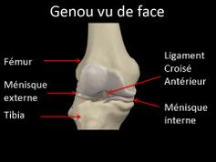 Cliquez pour agrandir