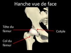 Cliquez pour agrandir