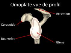 Cliquez pour agrandir