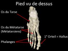 Cliquez pour agrandir