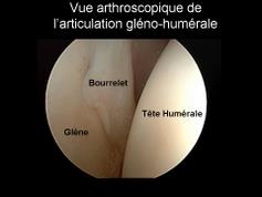 Cliquez pour agrandir